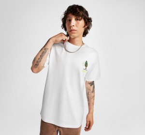 Converse All Star Tree T-shirt Fehér | 746PSJTMO