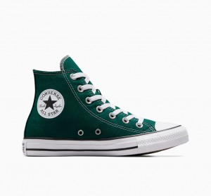 Converse Chuck Taylor All Star Dragon Scale | 725ATRILB