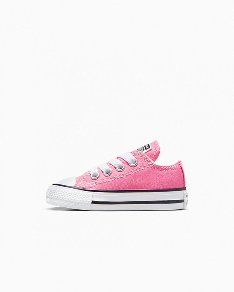 Converse Chuck Taylor All Star Rózsaszín | 462VALQUI