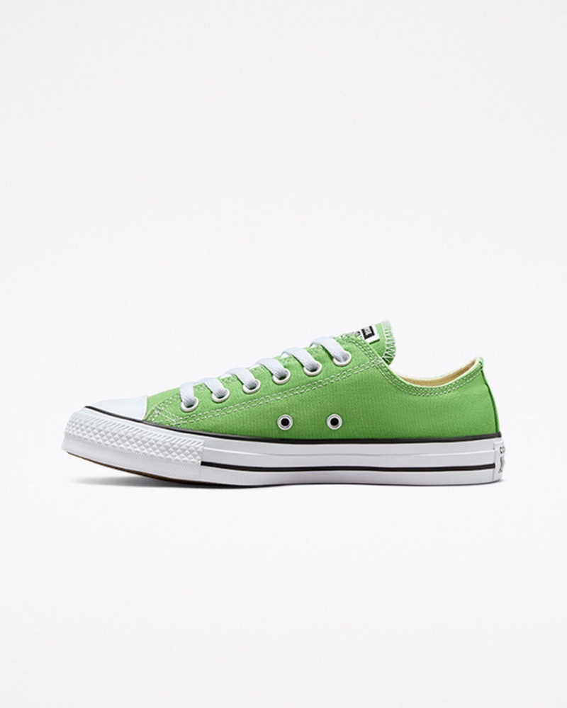 Converse Chuck Taylor All Star Seasonal Color Virtual Matcha | 753DVFGOZ