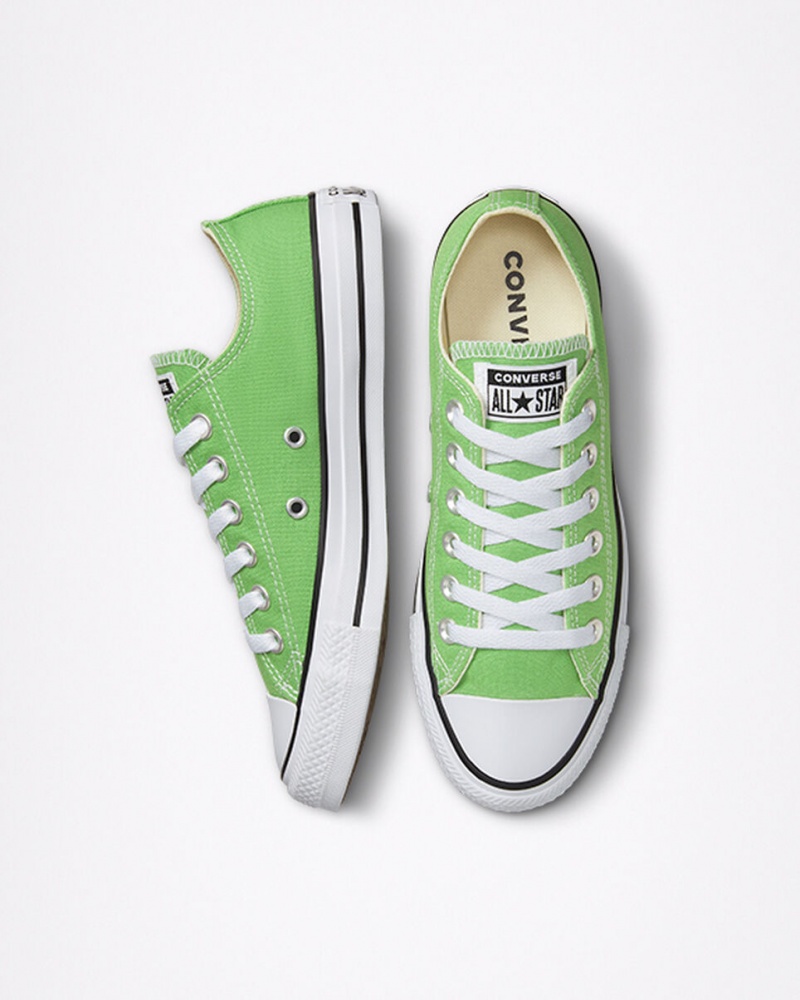 Converse Chuck Taylor All Star Seasonal Color Virtual Matcha | 753DVFGOZ