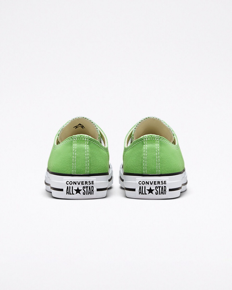 Converse Chuck Taylor All Star Seasonal Color Virtual Matcha | 753DVFGOZ