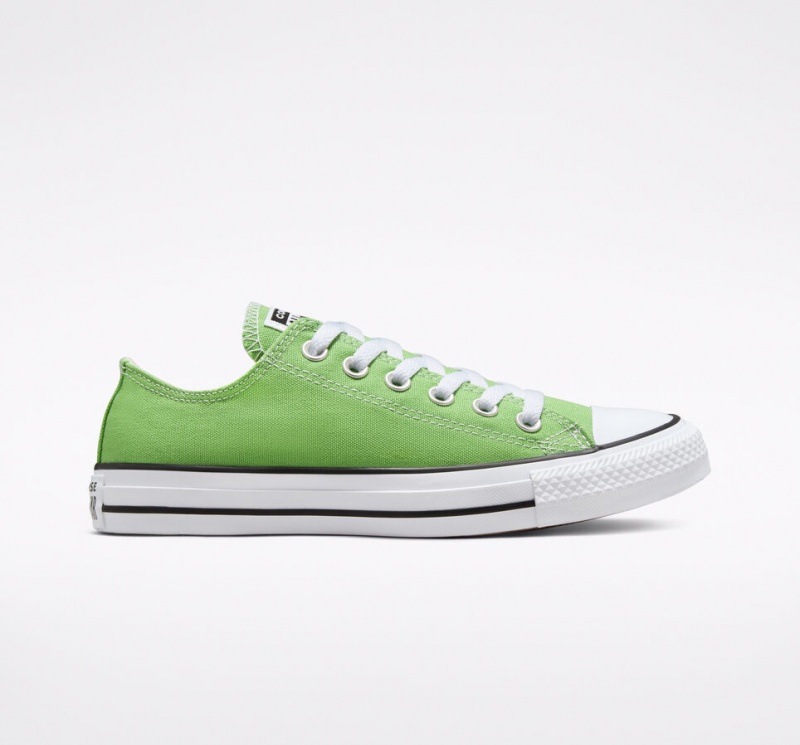 Converse Chuck Taylor All Star Seasonal Color Virtual Matcha | 753DVFGOZ